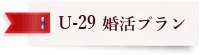 結婚相談所 20代　婚活,u-29婚活プラン